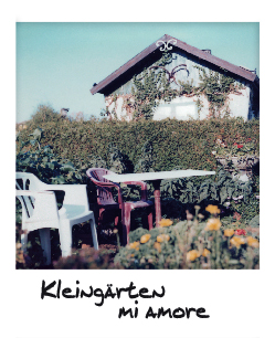 Kleingarten mi amore